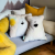 21.png