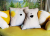 59.png