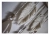 lapacz-snow-108x40cm.3_l.webp