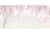 wisteria-kids-pink-tapeta-do-pokoju-dzieciecego-z-kwiecistym-drzewem-i-ptakami (2).jpg