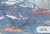 panama-indygo-nowoczesna-tapeta-do-salonu-i-sypialni-z-egzotycznymi-ptakami (3).jpg