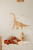 image00008.png