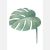 monstera--plakat.-plakat-dla-dzieci.-dekoracje-pokoju (5).jpg