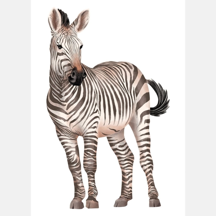 Plakat dla dzieci "Zebra" – egzotyczny plakat z zebrą, idealny do pokoju dziecka