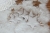 4737c99c8d2a0a3250c10b0976607efb