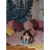 8ead7b9f8928723bc139c1a624622b6e