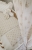 96f1bbe1f1a78d82feaf8842f8b08db0