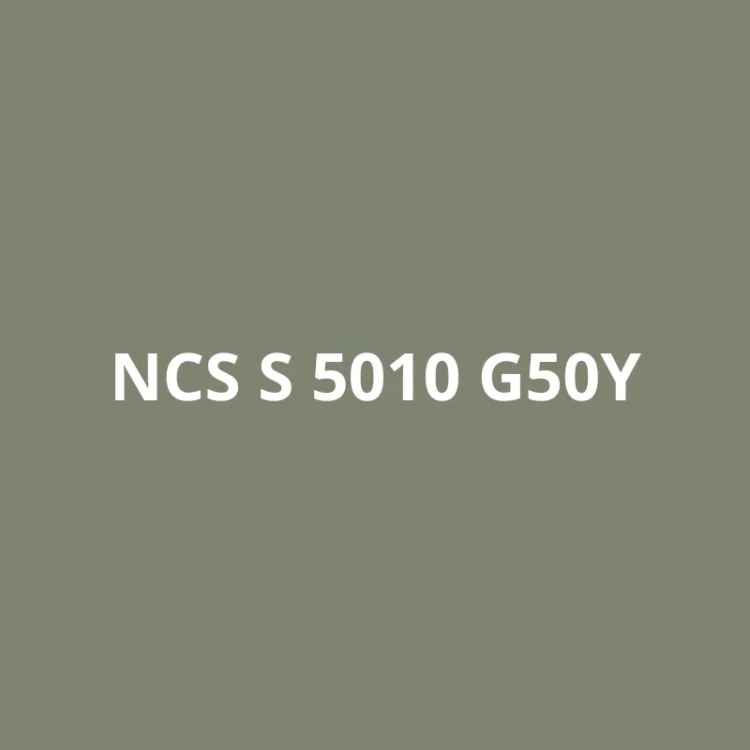 NCS S 4020-R80B (1).webp