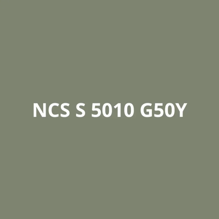 NCS S 4020-R80B (1).webp