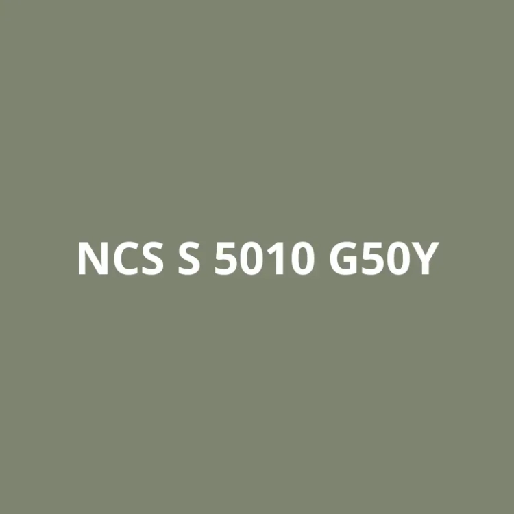 NCS S 4020-R80B (1).webp