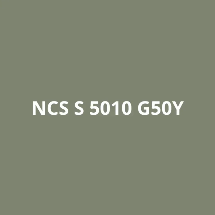 NCS S 4020-R80B (1).webp