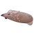 1047450571_Tapis_Little_Deer_Angle.webp