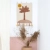 1047452742_LITTLE PALM_DECO MURALE_ambiance1.webp