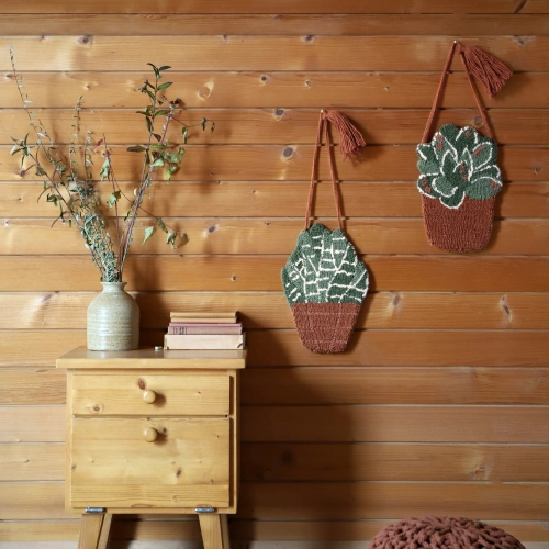 1047454302_Little_Aloe_ambiance2.webp