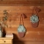 1047454302_Little_Aloe_ambiance3.webp