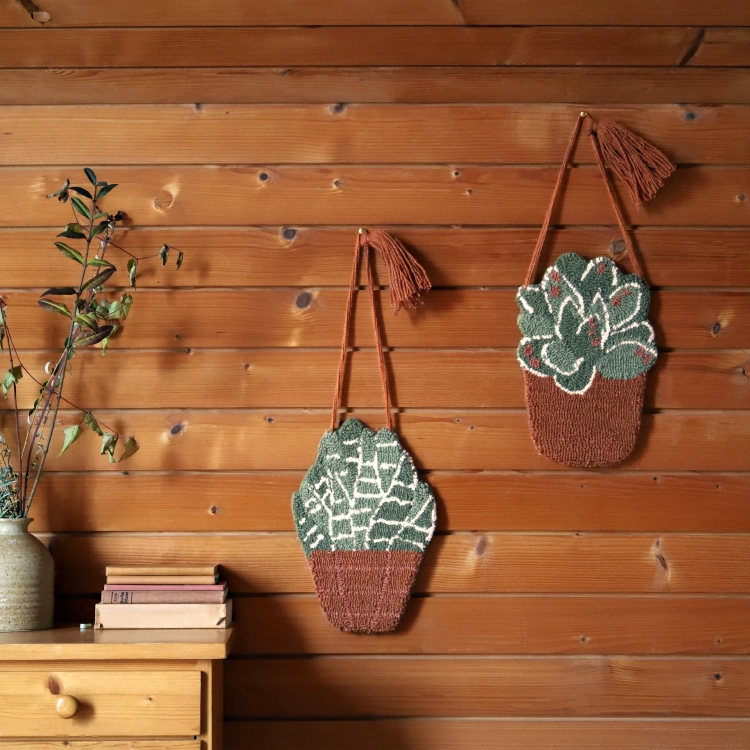 1047454302_Little_Aloe_ambiance3.webp