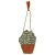 1047454302_Little Aloe.webp