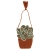 1047454319_Little Green.webp