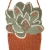 1047454319_Little Green_detail_800px.webp
