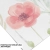entelo_kod_199.webp