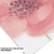 entelo_kod_198.webp