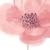 entelo_kod_199.webp