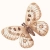 entelo_kod_6.webp