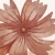 entelo_kod_6.webp