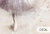 6745d58809351.webp