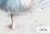 6745d4cd1ea42.webp