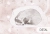 68303c6ea79e6.webp