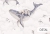 66a3719496647.webp