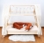 fox-shaped-bed-bumper,-cuddlerest,-long-pillow-for-kids,-perfect-gift-for-toddlers.webp