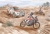 tapeta-off-road-09.webp