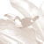 tapeta-safari-sepia-09.webp