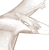 tapeta-dla-dzieci-dinozaury-sepia-09.webp