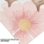 tapeta-motyle-duze-09.webp