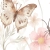 tapeta-motyle-male-10.webp