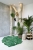 C-MONSTERA_7