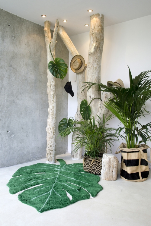 C-MONSTERA_7