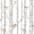 tapeta birch forest