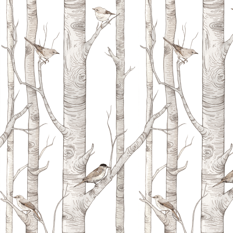 tapeta birch forest
