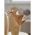 il_fullxfull.1909449475_cf6k_900x