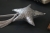 image_b2897203-f570-47db-bc83-f5f3a96cb0a9_2000x2000