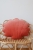 image00022_2_2000x2000