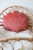 poduszka-muszla-coral-velvet-moimili-homedesign_2