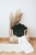 poduszka-muszla-green-velvet-moimili_2_2000x2000