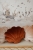 shell-pillow-cooper-sealover-kidsroom-moimili_6