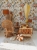 CanopyHoneycircus_7_2000x2000