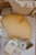 honey-velvet-leaf-pillow-moimili-handmade (5).jpg
